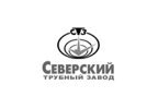 СТЗ (Северский трубный завод)